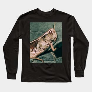 Grasshopper Climbing Green Leaf Macro Photograph Long Sleeve T-Shirt